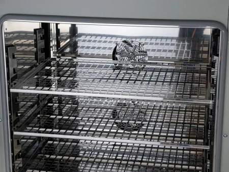 Шкаф сушильный ШС-160-02 СПУ, с принудительной конвекцией от компании Абсолют